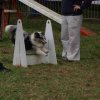 foire-haricots 2011-09-17et18